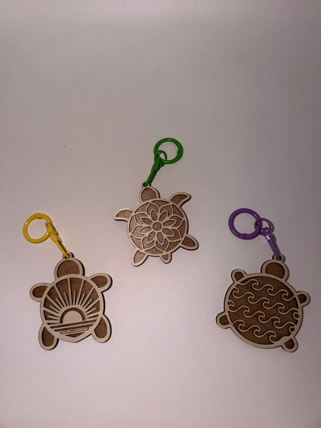 La Caravane des Tortues