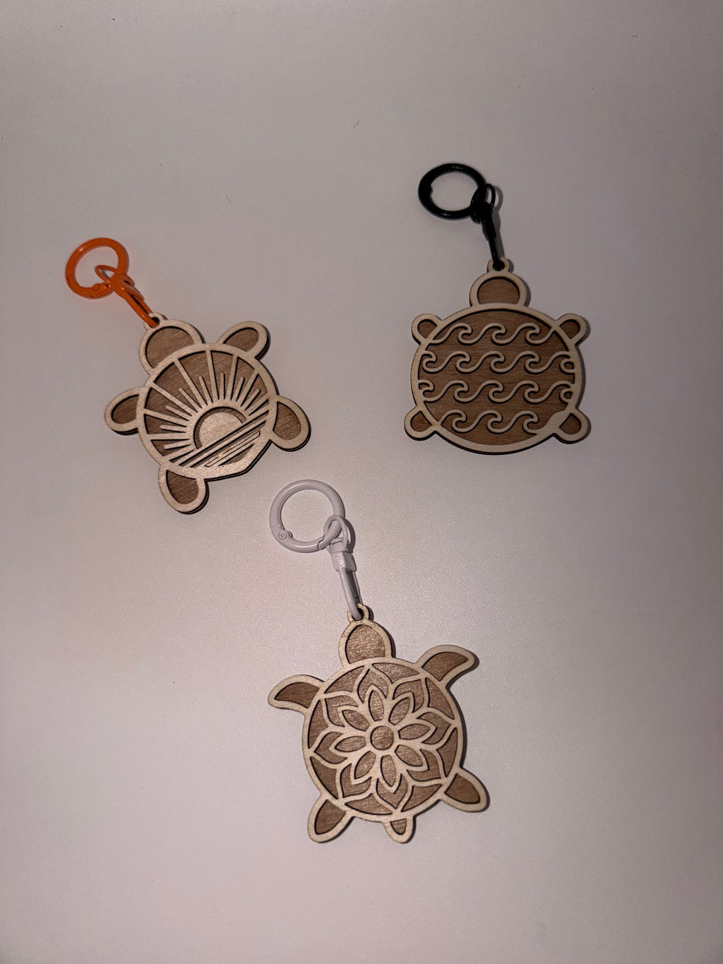 La Caravane des Tortues