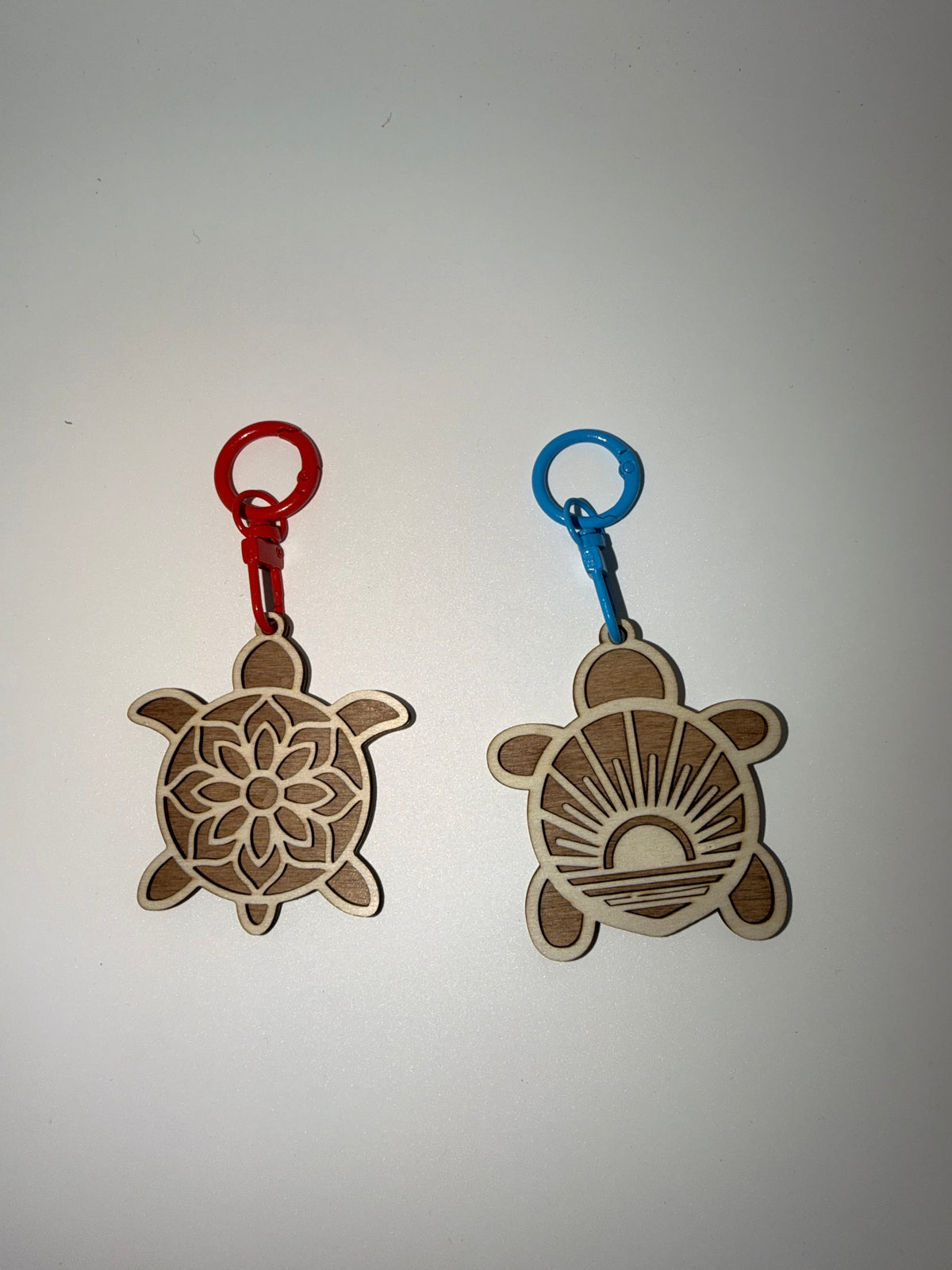 La Caravane des Tortues