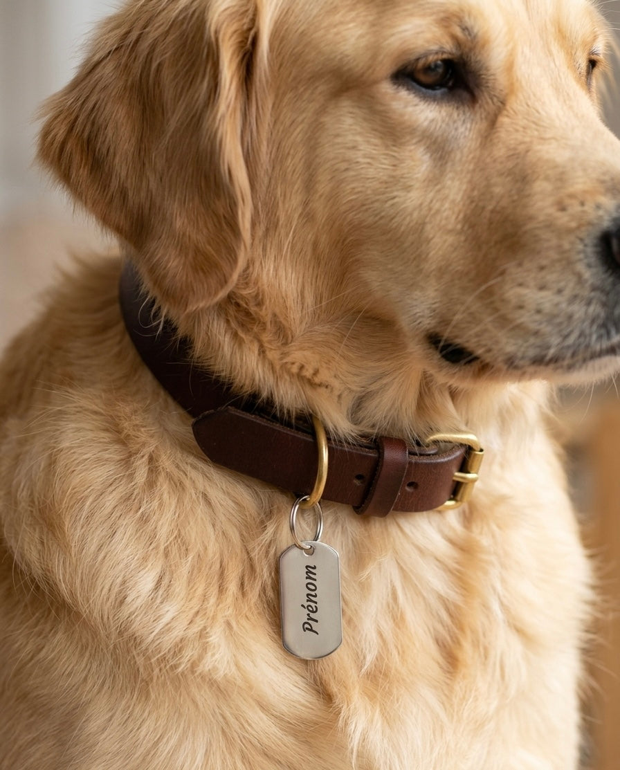 Médaille Gravée Personnalisée en Acier Inoxydable - Prénom, Message et Coordonnées